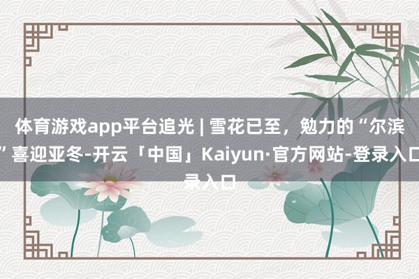 体育游戏app平台追光 | 雪花已至，勉力的“尔滨”喜迎亚冬-开云「中国」Kaiyun·官方网站-登录入口